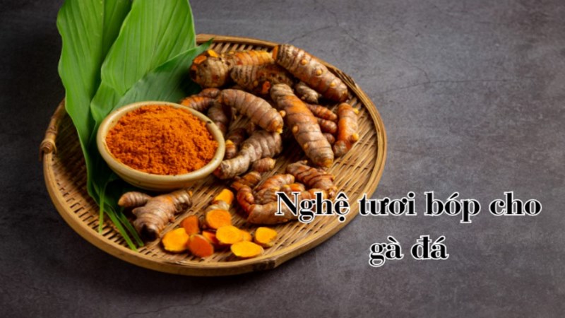 Nghệ tươi là nguyên liệu chính dùng trong ngâm nghệ gà chọi