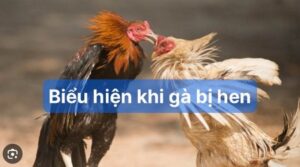 Biểu hiện khi gà bị hen