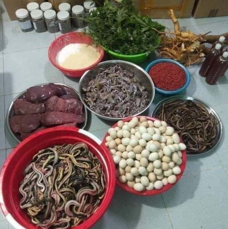 Cách làm mồi cho gà chọi bằng rắn cùng với đa dạng nguyên liệu