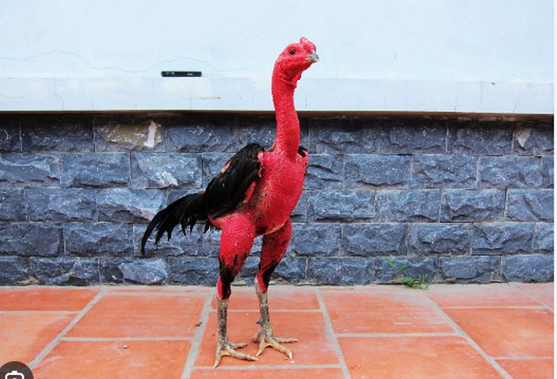 Cách phòng bệnh nhanh chóng
