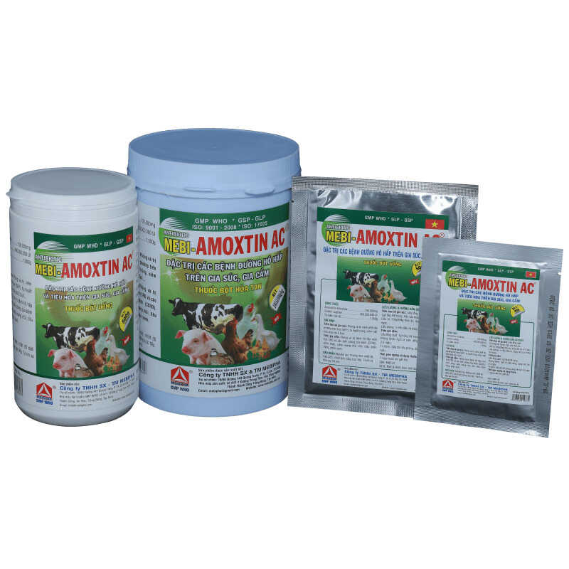Đặc trị bệnh tụ huyết trùng ở gà chọi bằng kháng sinh Amoxtin Ac