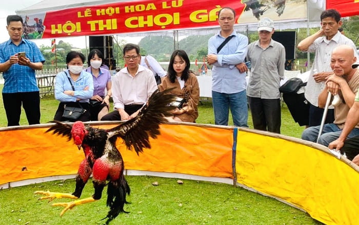 Lễ hội chọi gà có ý nghĩa quan trọng đối với đời sống người dân