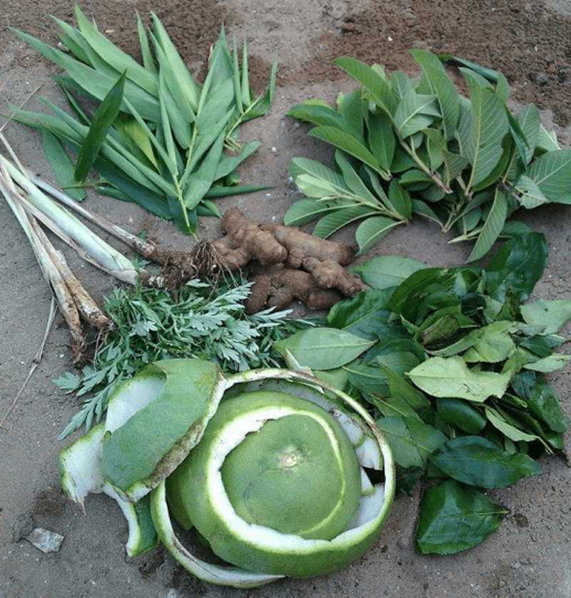 Nguyên liệu nấu nước om chườm cho chiến kê