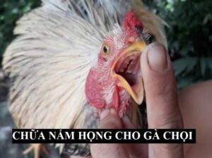 Tìm hiểu nguyên nhân gây bệnh giúp chữa bệnh