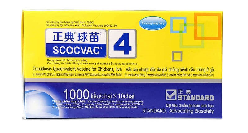 Vào vacxin phòng bệnh cầu trùng cho gà theo đúng khuyến cáo