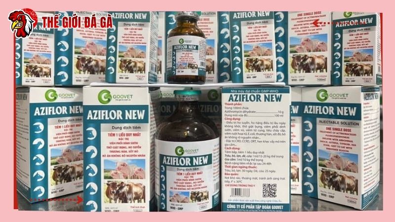 Dùng thuốc đặc trị Aziflor New