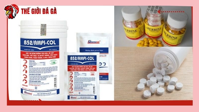 Hiện nay có nhiều loại thuốc chuyên trị tiêu chảy cho gà