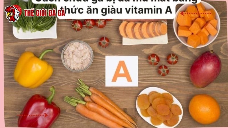 Thực phẩm hỗ trợ thị giác cho gà