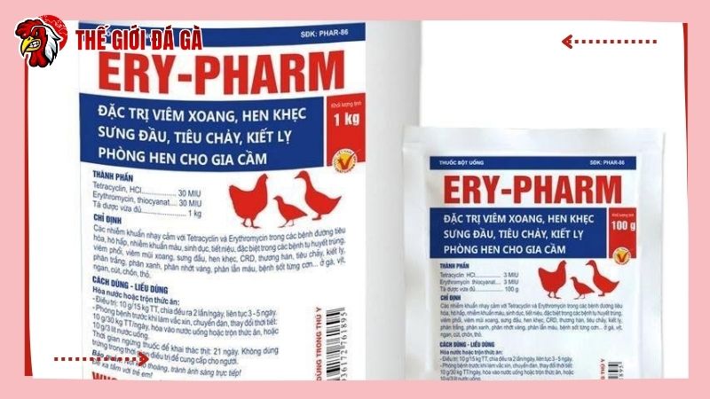 Sử dụng thuốc Ery cho quy mô chăn nuôi nhỏ lẻ