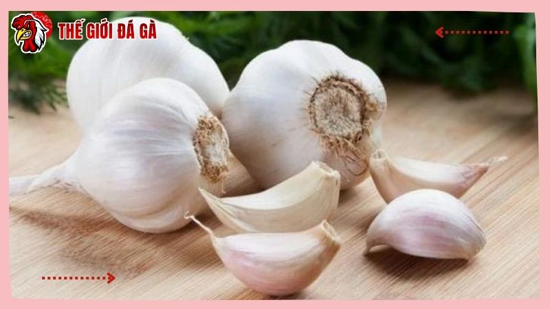 Cho gà ăn tỏi để chữa khò khè lên đờm