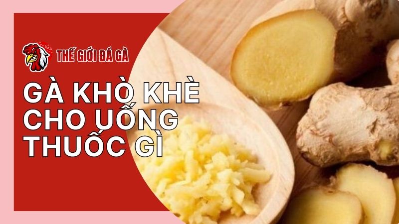 Bài thuốc dân gian chữa gà khò khè ở thể nhẹ