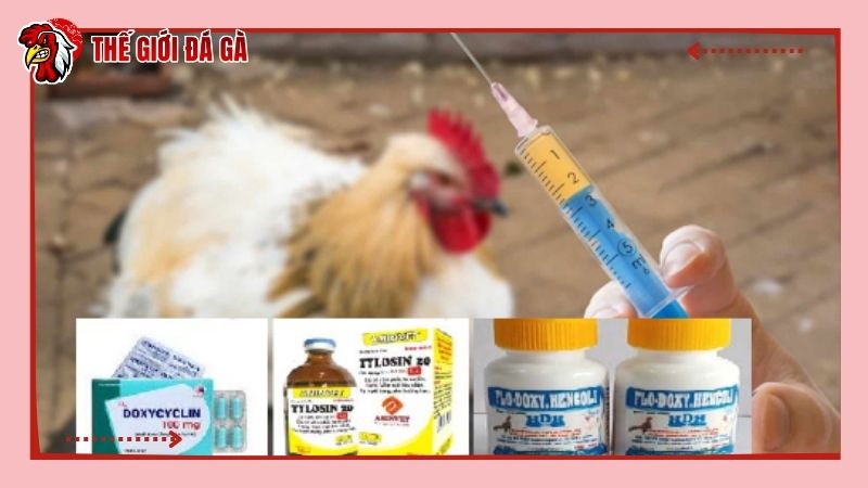 Thuốc trị khò khè cho gà rất đa dạng, nhiều sản phẩm