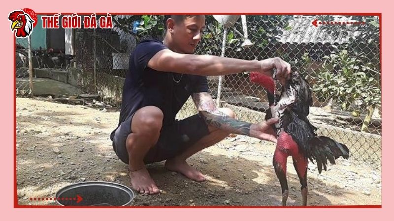 Da gà săn chắc sau khi được om bóp đúng cách