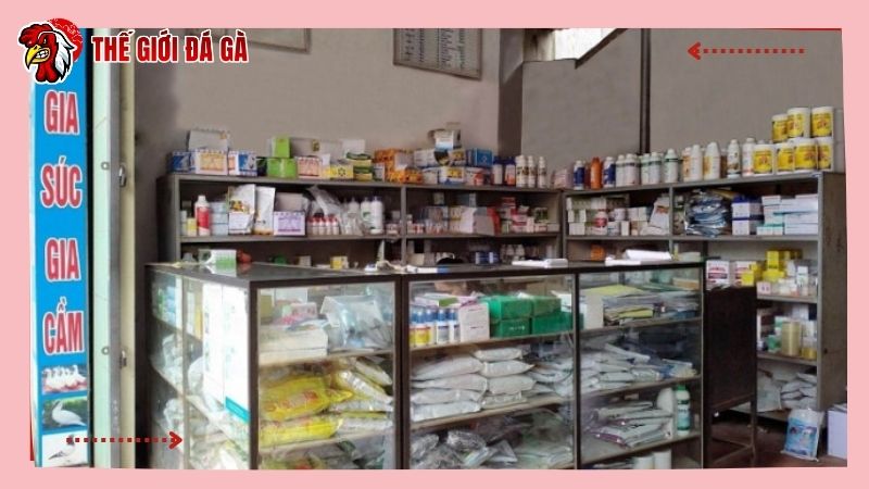 Nhà thuốc thú y tại địa phương cung cấp các loại vacxin cho gà