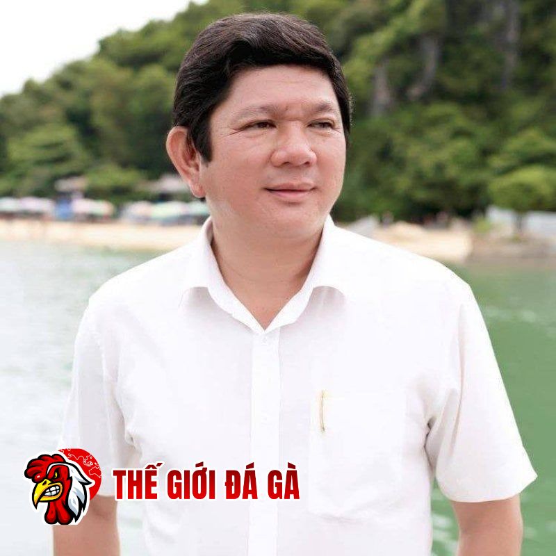 Sự nghiệp thi đấu của Phúc Bình Dương