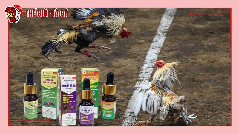 Tại sao gà đá cựa sắt cần bổ sung thêm thuốc bổ