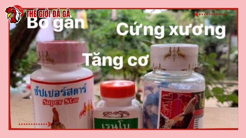 Thuốc bổ giúp gà chiến tăng cơ bắp, chắc xương