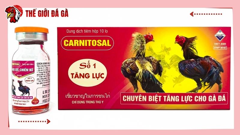 Thuốc tăng lực giúp gà đá sung mãn, tăng độ hiếu chiến khi đi đá